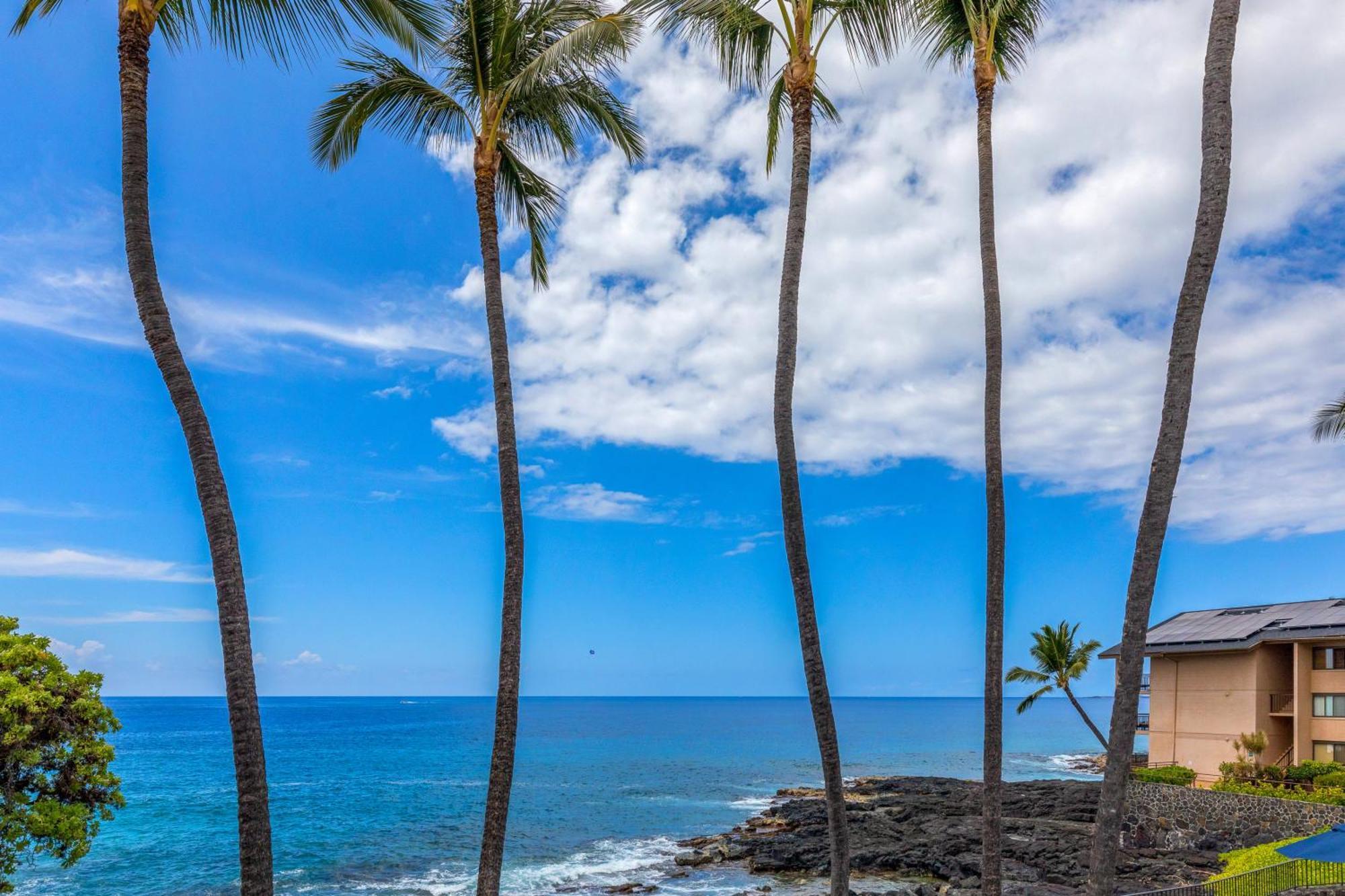 Royal Sea Cliff Kona By Outrigger Daire Kailua-Kona Dış mekan fotoğraf